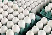 اطلاعیه بهداشتی شرایط نگهداری و خرید تخم مرغ